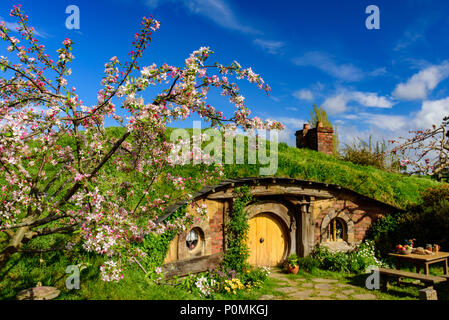 Hobbiton Movie Set de Shire dans Le Seigneur des Anneaux et Le Hobbit trilogies, Matamata, Nouvelle-Zélande Banque D'Images