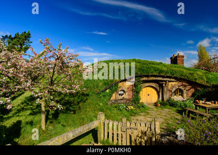 Hobbiton Movie Set de Shire dans Le Seigneur des Anneaux et Le Hobbit trilogies, Matamata, Nouvelle-Zélande Banque D'Images