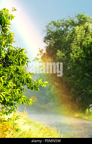 Fortes pluies en été avec rainbow Banque D'Images