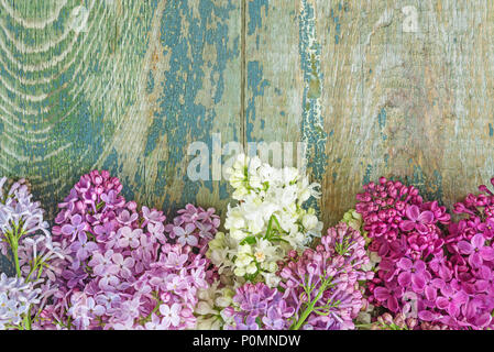 Des bouquets de fleurs lilas multicolore sur un vieux fond de bois Banque D'Images