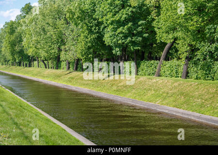 Une petite rivière coule à travers un canal au milieu d'un parc verdoyant pour une entreprise écologique maison de vacances Banque D'Images