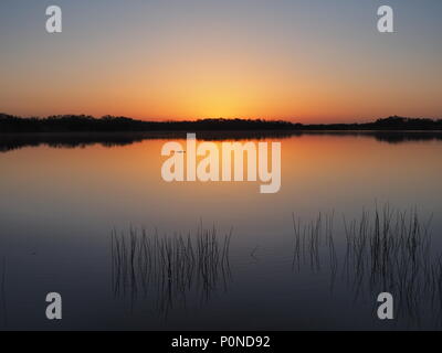 Lever du soleil sur l'étang neuf milles dans le parc national des Everglades, en Floride. Banque D'Images