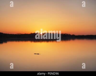 Lever du soleil sur l'étang neuf milles dans le parc national des Everglades, en Floride. Banque D'Images