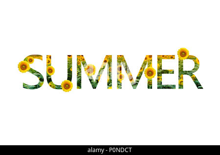 Mots de l'été fond blanc Tournesol isoler Banque D'Images