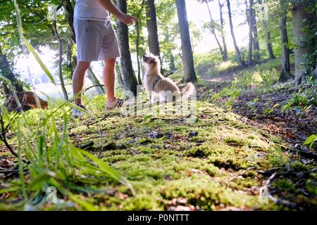 La formation de chien par un homme dans un bois au coucher du soleil contre le soleil avec des faisceaux de lumière du soleil, sunstars par chemin et d'un conceptuel en été Banque D'Images