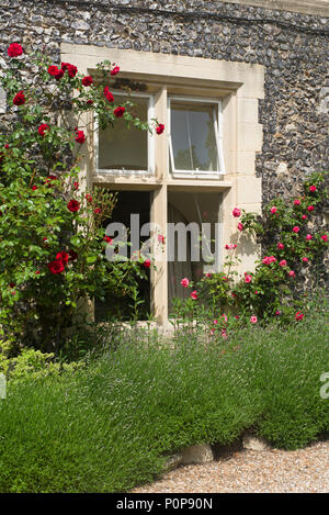 Vieille maison en pierre avec de plus en plus roses contre le mur Banque D'Images
