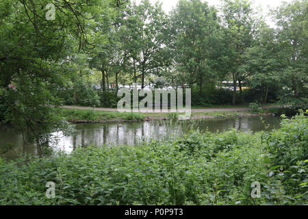 La rivière Stour (Great Stour) section près de Sainsbury's à Canterbury, Kent. Banque D'Images