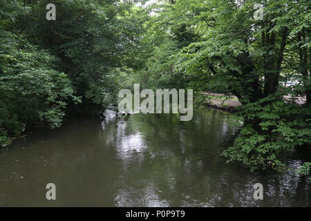 La rivière Stour (Great Stour) section près de Sainsbury's à Canterbury, Kent. Banque D'Images