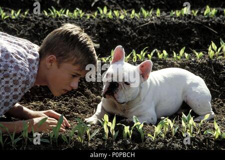 Titre original : SECONDHAND LIONS. Titre en anglais : SECONDHAND LIONS. Film Réalisateur : TIM MC CANLIES. Année : 2003. Stars : Haley Joel Osment. Credit : New Line Productions / REDIN, VAN / Album Banque D'Images