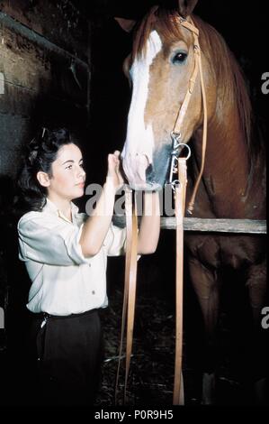 Film Original Title : NATIONAL VELVET. Titre en anglais : NATIONAL VELVET. Directeur de film : CLARENCE BROWN. Année : 1944. Stars : ELIZABETH TAYLOR. Credit : M.G.M / Album Banque D'Images