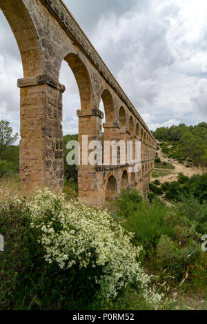 La belle et historique vestiges de l'Aqueduc romain du nom de Pont del Diable à Tarragone, Espagne. Aussi appelé le Pont de la Ferre Banque D'Images