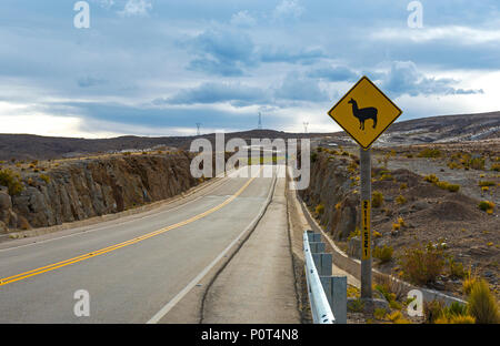 Lamas et alpagas sur le signe de route sur une autoroute à distance en Bolivie. Ces signes se trouvent dans la gamme de montagne des Andes de Bolivie, Équateur, Pérou, Chili. Banque D'Images