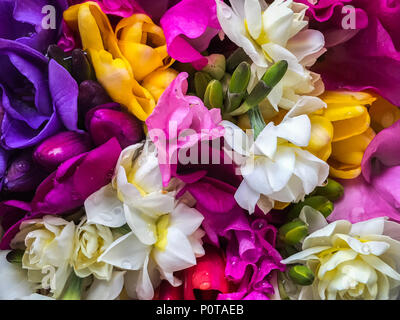 Un bouquet de fleurs de printemps Banque D'Images