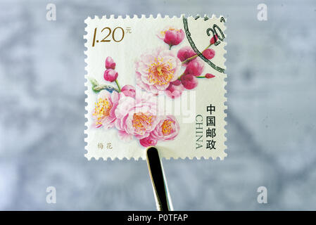 Chine - circa 2011 : timbre imprimé en Chine Pékin montre Z22 Fleurs de Prunier, vers 2011. Banque D'Images