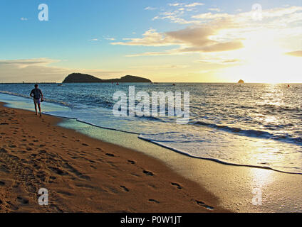 L'île de Palm Cove Beach, vues, Ironman Asia Pacific trialthlon piscine d'événement en cours de la jambe à Palm Cove offshore peu après le lever du soleil Banque D'Images