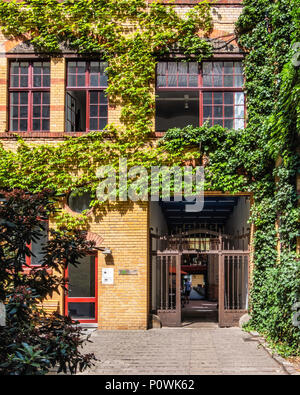 Berlin Mitte, Sophie-Gips-Höfe,cour intérieure, grilles et couverts de lierre bâtiment en brique du xixe siècle de l'ancienne usine. Banque D'Images