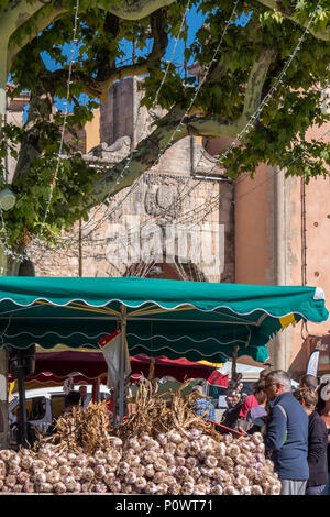 L'ail sur les étals du marché Apt Vaucluse Provence-Alpes-Côte d'Azur France Banque D'Images