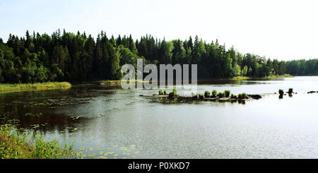 Journée ensoleillée au lac Ladoga. Nature du nord de la Russie. Nature de l'île de Valaam. Tonique photo. De photo. Île de Valaam, République de Carélie, en Russie. Banque D'Images