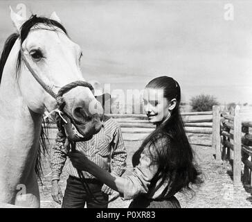 Titre original : THE UNFORGIVEN. Titre en anglais : THE UNFORGIVEN. Film Réalisateur : John Huston. Année : 1960. Stars : Audrey Hepburn. Credit : HECHT-HILL-LANCASTER/United Artists / Album Banque D'Images