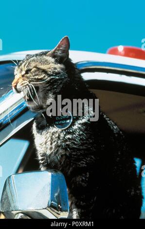 Titre original : somnambules. Titre en anglais : somnambules. Directeur : MICK GARRIS Film. Année : 1992. Credit : Columbia Pictures / Album Banque D'Images