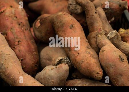 Peler les patates douces rouges crus dans panier Banque D'Images