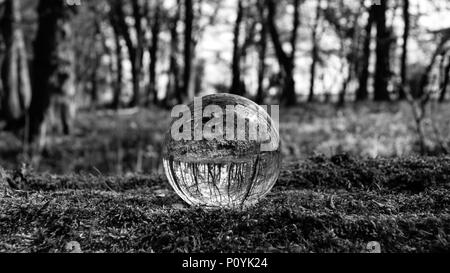 Photo Crystal Ball grossissant en montrant la forêt réfléchies et réfractées image inversée en verre Banque D'Images