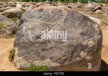 Dans le jardin de pierre de pétroglyphes, Cholpon Ata, Kirghizistan Banque D'Images