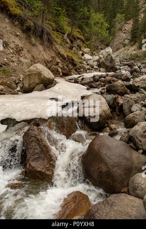 Cascade dans la vallée de Barskoon, Kirghizistan Banque D'Images