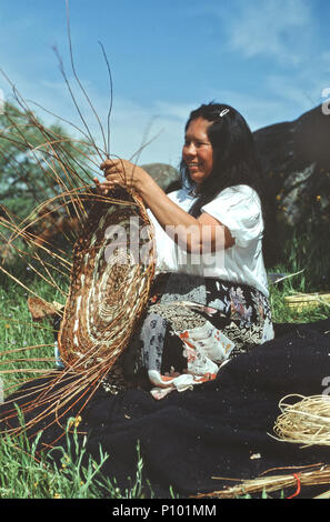 Pomo Kashia , American Indian, Femme tissant sur le jeu 'plateau', à l'aide de jeunes branches de saule, champ, printemps. Banque D'Images