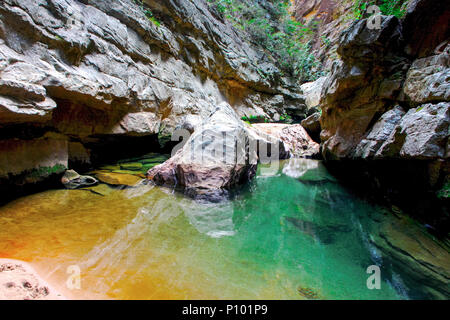 Bien que le Parc National Isalo trekking dans le désert de l'ouest de Madagascar. Il y a des piscines naturelles caché entre les parois du canyon. Banque D'Images