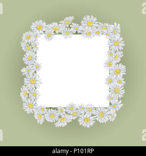 Sur châssis Daisy vert avec Carré Blanc pour le texte de la carte de l'espace. Frontière de la camomille pour modèle carré vert. Floral Frame Modèle pour la décoration de l'événement. Banque D'Images