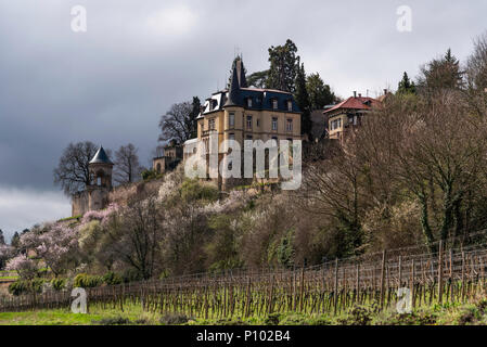Altes Schloss, Neustadt, Allemagne Banque D'Images