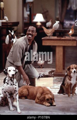 Titre original : DR. DOLITTLE. Titre en anglais : DR. DOLITTLE. Directeur de film : BETTY THOMAS. Année : 1998. Stars : Eddie Murphy. Crédit : 20TH CENTURY FOX / BRAY, PHIL / Album Banque D'Images