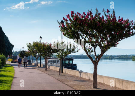 Promenade le long du fleuve Rhône Tain l'hermitage Drôme Auvergne-Rhône-Alpes France Banque D'Images