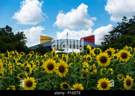 Shenzhen Civic Centre encadré par lit de tournesols Banque D'Images