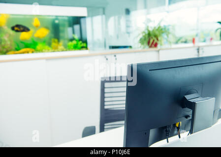 Moniteur de l'ordinateur ciblé avec arrière-plan flou de l'aquarium avec poisson blanc jaune en open space office interior. Concept de poste de travail. Business workspa Banque D'Images