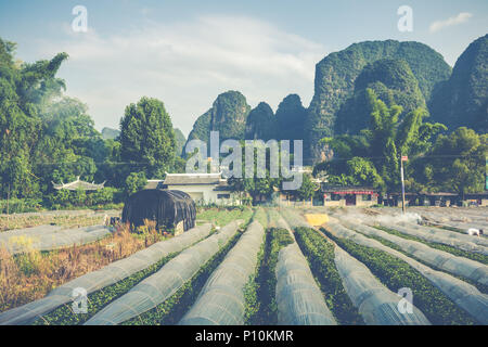 Paysage panoramique été ensoleillé au comté de Yangshuo de Guilin, Chine. Banque D'Images