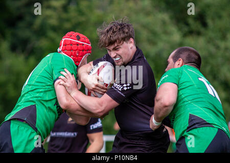 Tous les golds v Gloucester Cheltenham Phoenix Banque D'Images