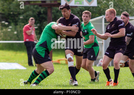 Tous les golds v Gloucester Cheltenham Phoenix Banque D'Images