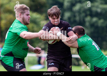 Tous les golds v Gloucester Cheltenham Phoenix Banque D'Images