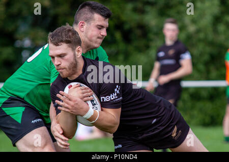 Tous les golds v Gloucester Cheltenham Phoenix Banque D'Images