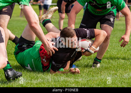 Tous les golds v Gloucester Cheltenham Phoenix Banque D'Images