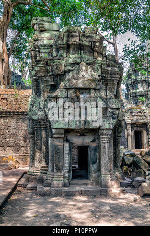 Les ruines de Ta Prohm temple au Cambodge Banque D'Images