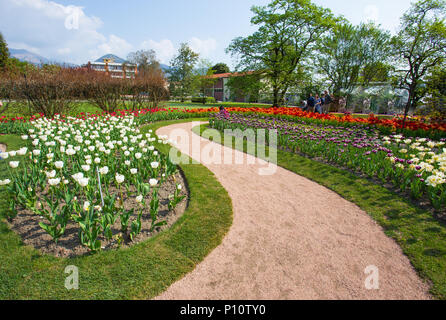PALLANZA, ITALIE, 25 avril, 2018 - Belle diverses sortes de tulipes au jardin botanique de la Villa Taranto à Pallanza, Verbania, Italie. Banque D'Images