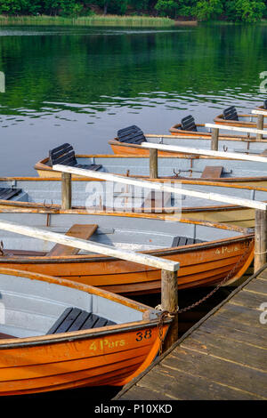 Loisirs de chaloupes amarré au lac Schlachtensee à Berlin-Zehlendorf, Allemagne. Banque D'Images