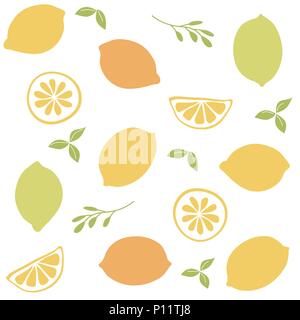 Modèle vectoriel continu avec les agrumes clices Illustration de Vecteur