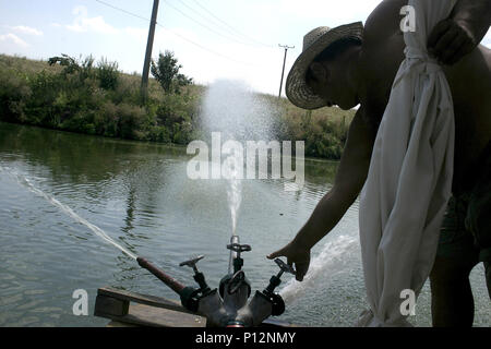 Travailleur sur fish farm le pompage de l'eau dans l'étang Banque D'Images