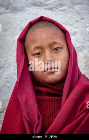 Un jeune moine du monastère Galden Namgey Lhatse, de l'Arunachal Pradesh, Inde Banque D'Images