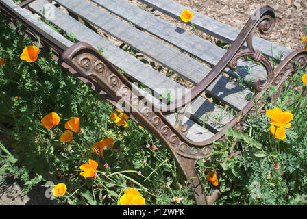 Banc de jardin entouré de coquelicots de Californie Banque D'Images