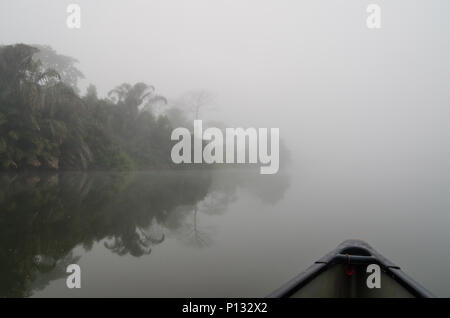 Traversée de la rivière en canot à Moa Tiwai Island Wildlife Sanctuary au cours tôt le matin brumeux, Sierra Leone, Afrique Banque D'Images